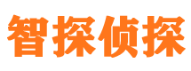 东安婚外情调查取证